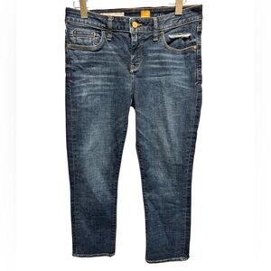 Anthropologie Pilcro and The Letterpress Women’s Blue Jeans Sz 29